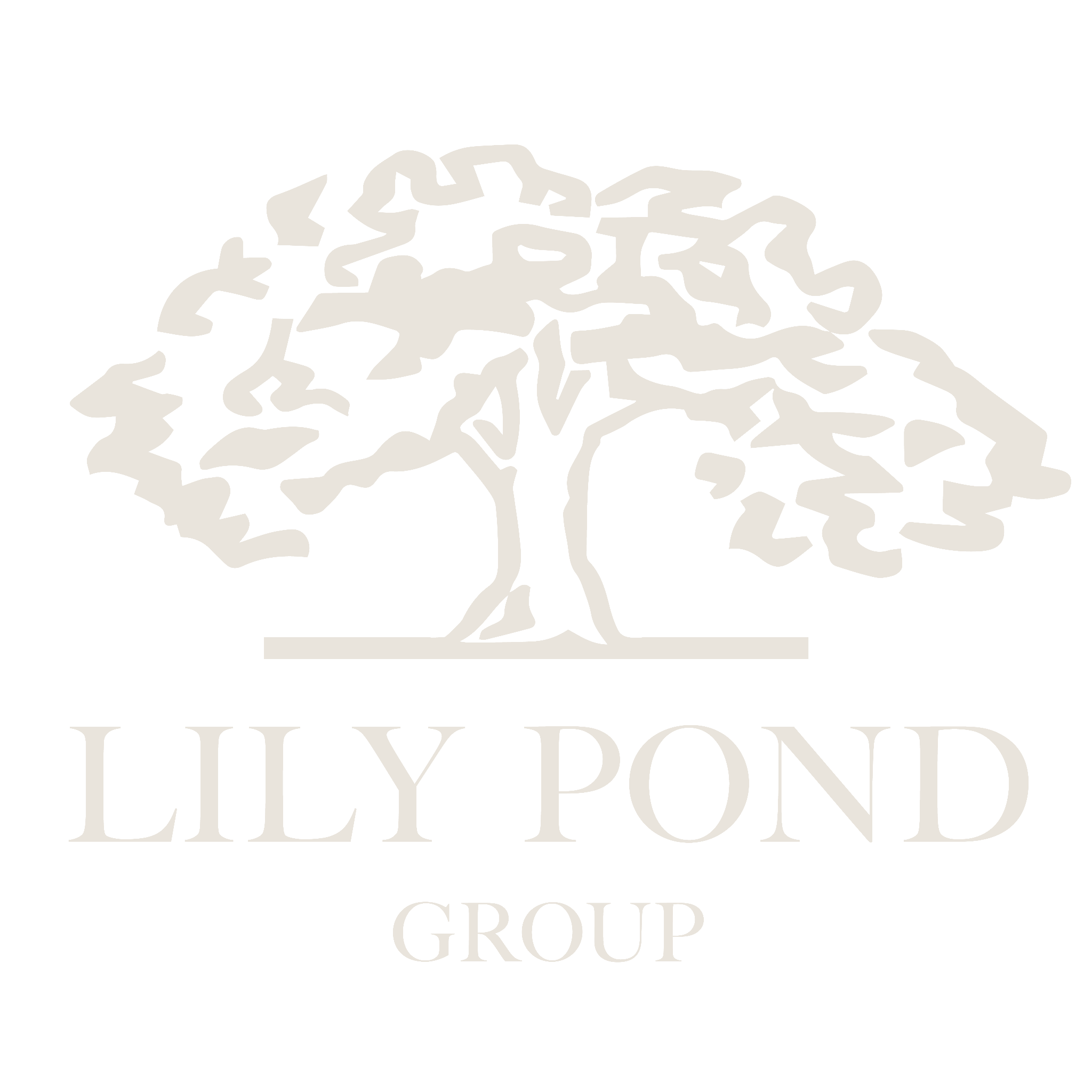 Lily Pond Group